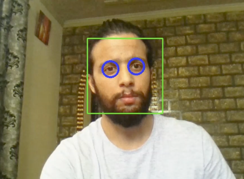 How to Detect Face Recognition using Viola Jones Algorithm