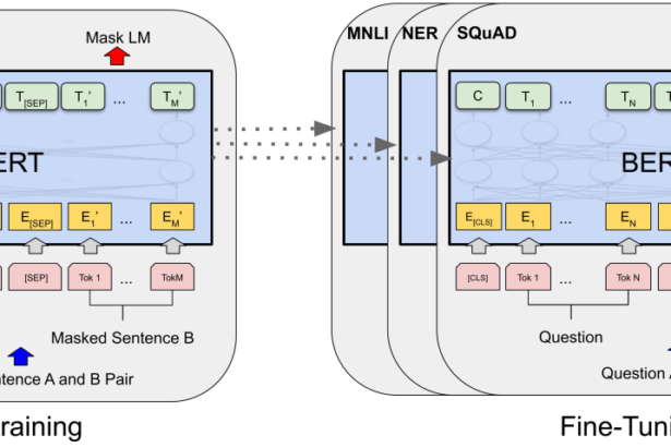 NLP Rise with Transformer Models | A Comprehensive Analysis of T5, BERT, and GPT