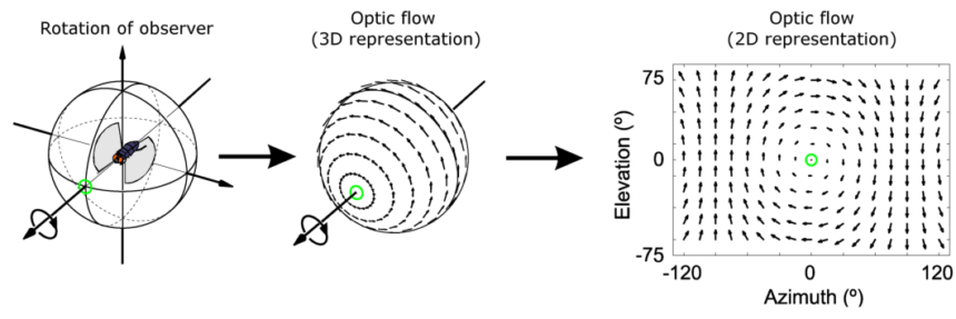 Optical Flow – Everything You Need to Know in 2024