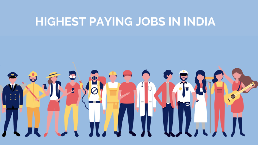 Top Highest Paying Jobs In India in 2024