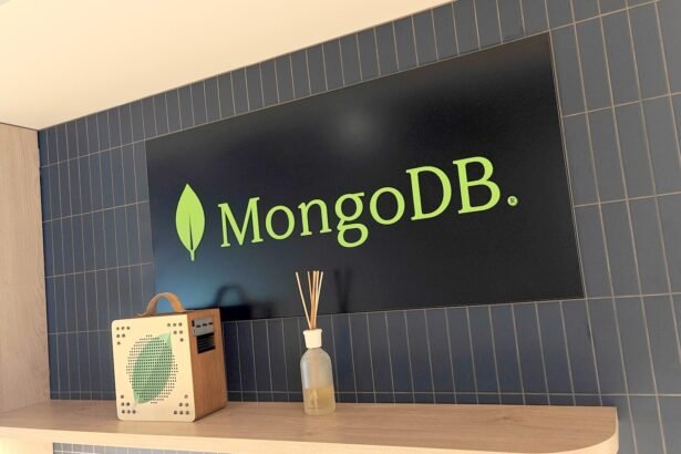 MongoDB CEO Dev Ittycheria talks AI hype and the database evolution as he crosses 10-year mark