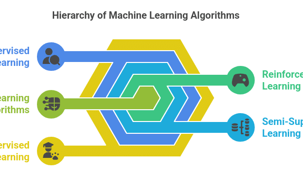 What Are Machine Learning Algorithms? Types and Examples