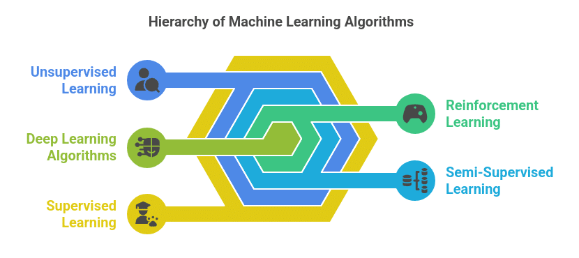 What Are Machine Learning Algorithms? Types and Examples