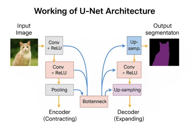 Understanding U-Net Architecture in Deep Learning